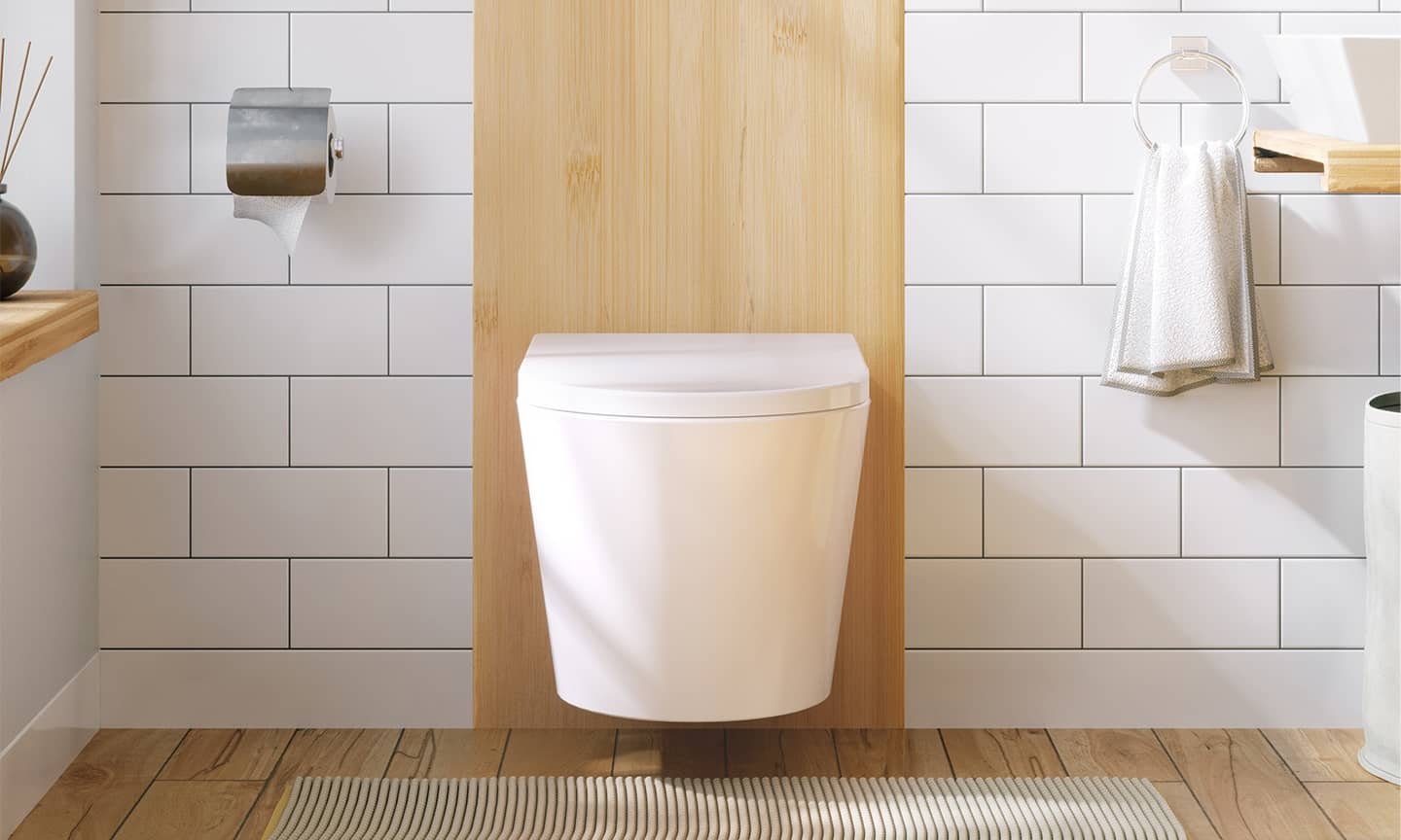 Wall-Mounted Toilets