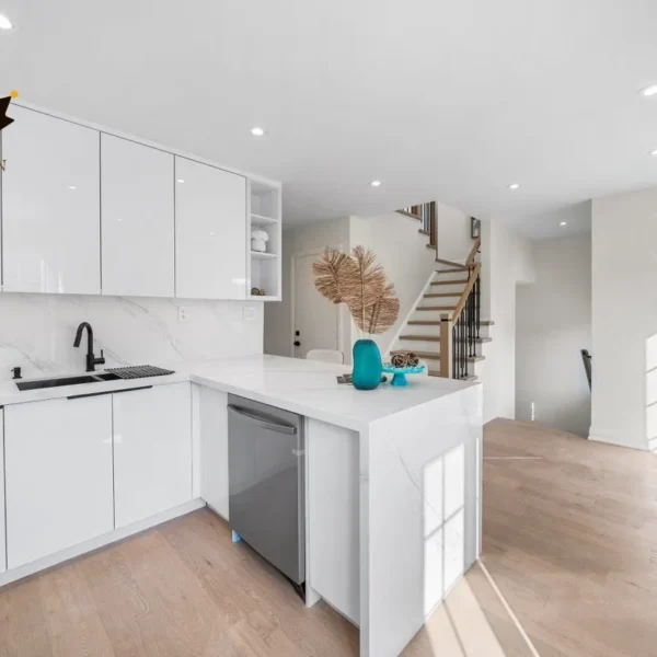 kitchen renovation project