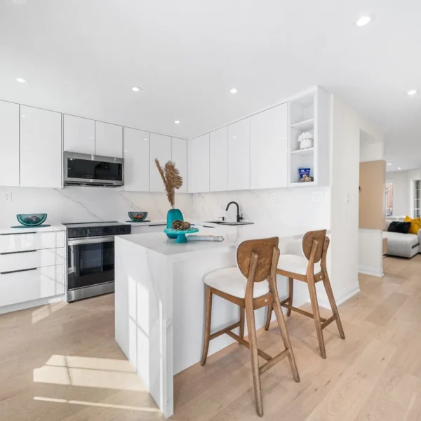 kitchen renovation project